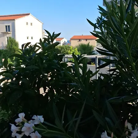 Nicky I Βόντιτσε